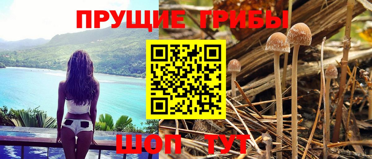 Псилоцибиновые грибы мицелий  Вход с VPN  Великий Устюг 